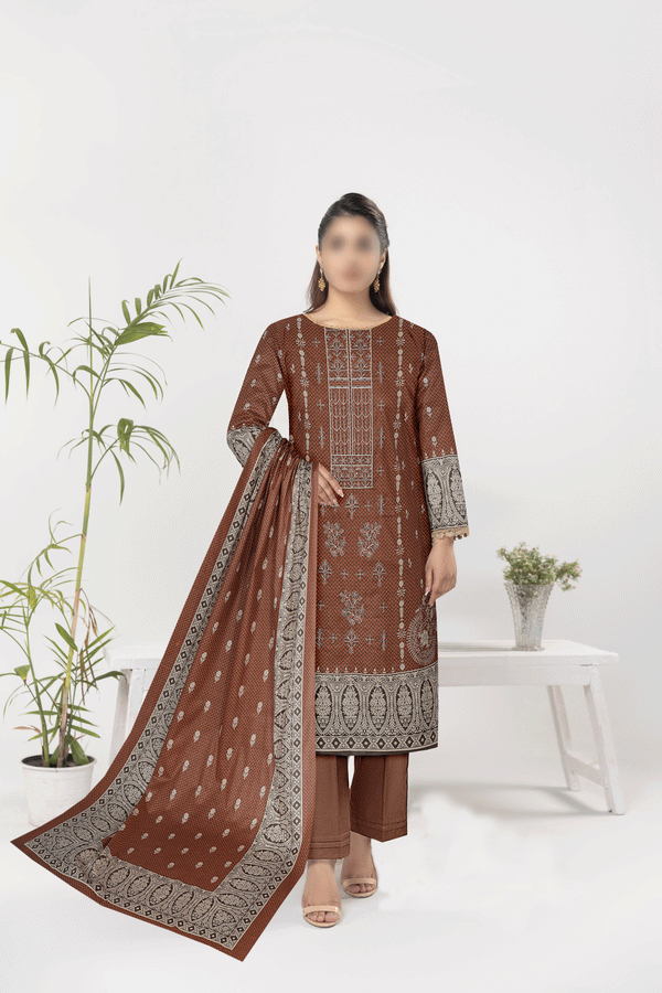 1st Volume Supper Offer 3PC Embroidery Cotton Price of 10 Dress (1 Set)
