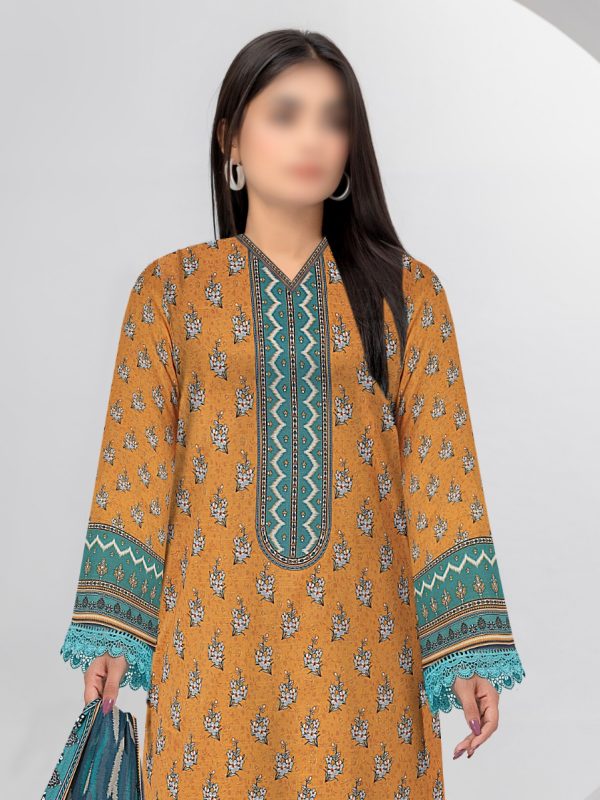 3PC Crystal Embroidered Slub Lawn With Voil Dupatta | Summer Collection | View | Bin Nisar Pakistani Clothing