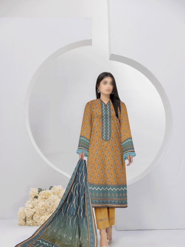 3PC Crystal Embroidered Slub Lawn With Voil Dupatta | Summer Collection | Bin Nisar Pakistani Clothing