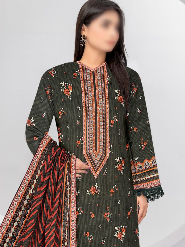 3PC Crystal Embroidered Slub Lawn With Voil Dupatta | Summer Collection | View | Bin Nisar Pakistani Clothing