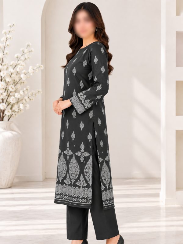 2PC SAYA Barosha | Unstitched Collection | View | Bin Nisar Pakistani Clothing